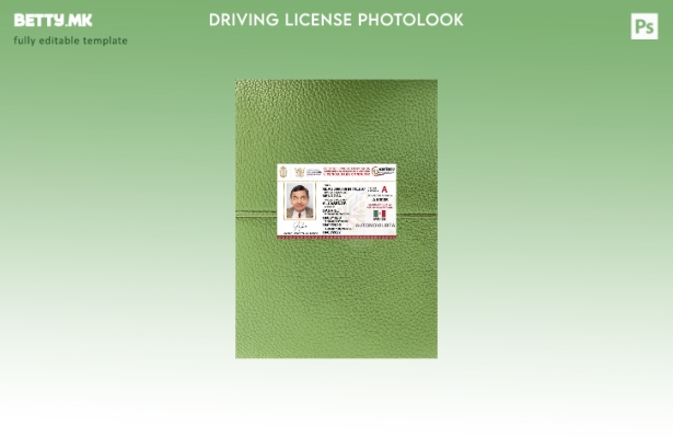 Модерен стил на предниот шаблон со фото изглед на државната возачка дозвола Мекс